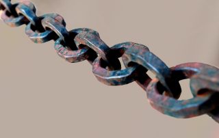 Das Glied, Worte wirken, Lea Söhner