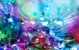 Disclaimer, weiblich, männlich sprache